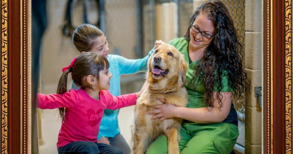 Golden Retriever Adopting