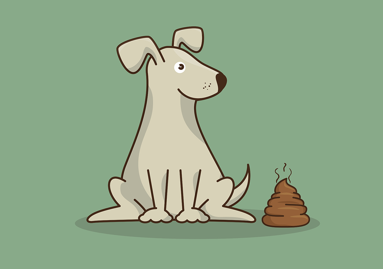 How-Often-Do-Puppies-Poop-A-Guide-To-Canine-Digestion