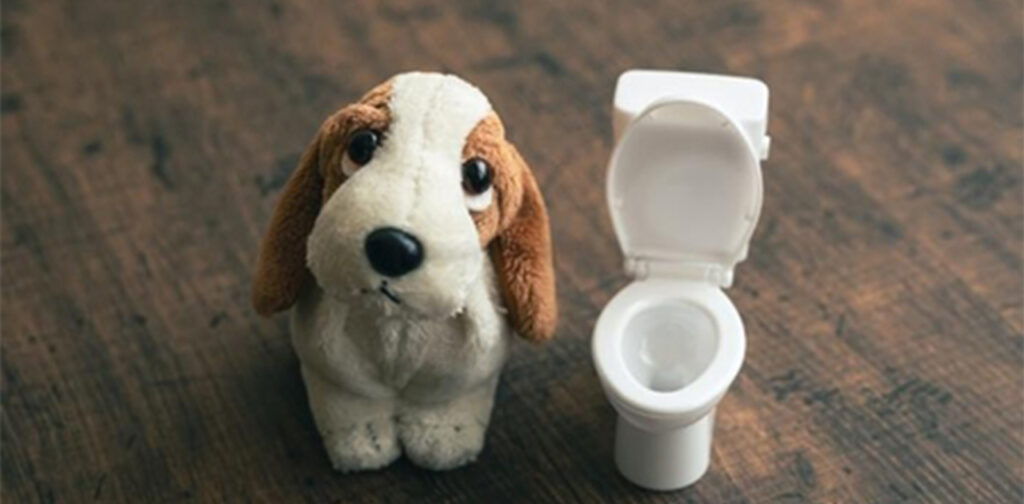 How-To-Toilet-Train-A-Puppy