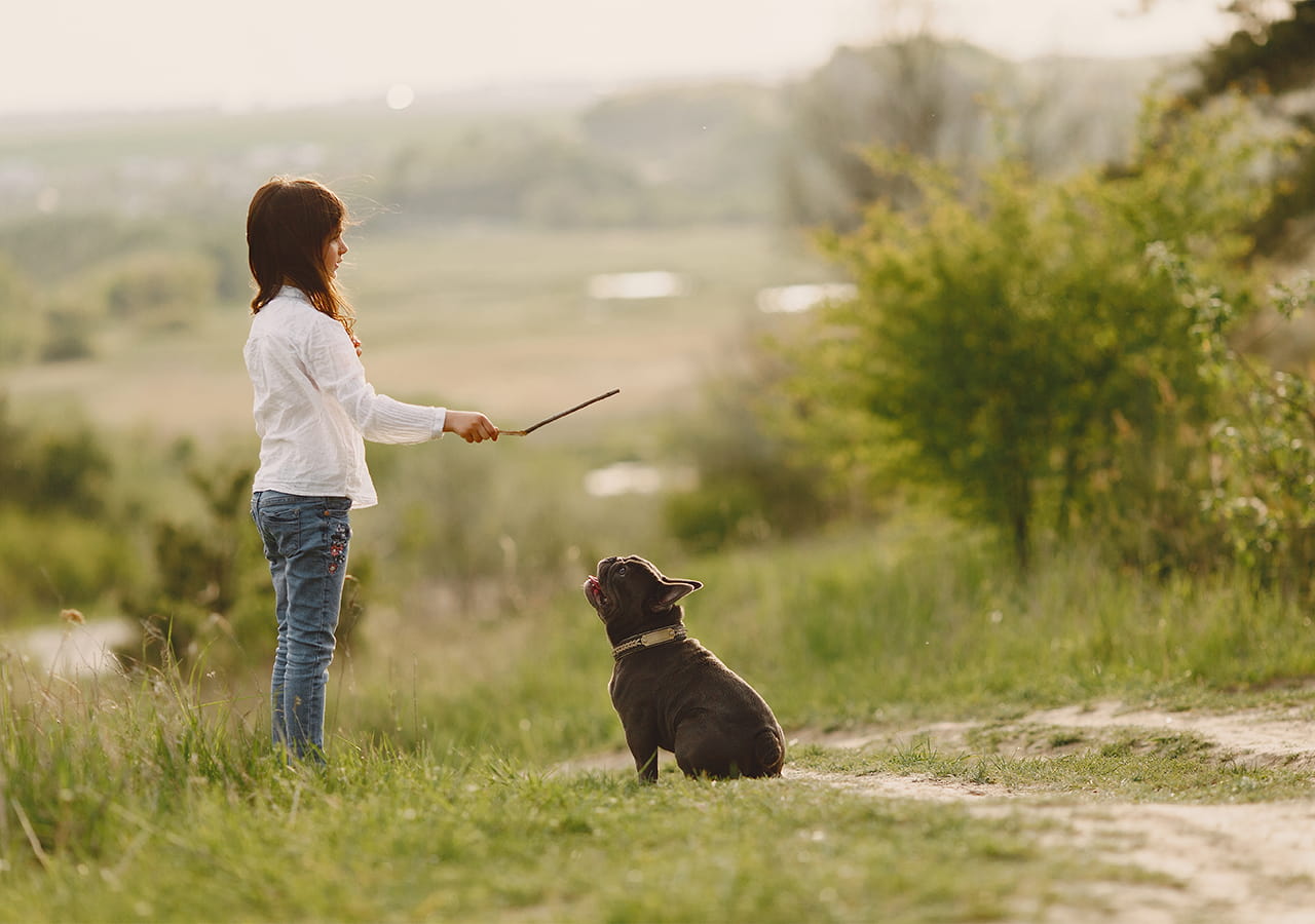 Basic-Obedience-Training-for-Puppies-Complete-Guide