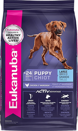 Eukanuba-Puppy-Large-Breed-Dry-Dog-Food