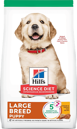 Hill_s-Science-Diet-Puppy-Large-Breed-Chicken-Meal-&-Brown-Rice-Recipe-Dry-Dog-Food