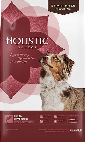 Holistic Select Adult & Puppy Grain-Free Salmon, Anchovy & Sardine Meal Recipe Dry Dog Food