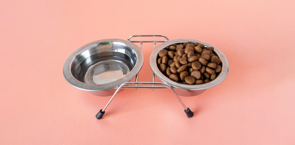 Large-Breed-Puppy-Feeding-Tips