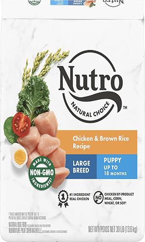 Nutro Natural Choice Large Breed Puppy Chicken & Brown Rice Recipe Dry Dog Food