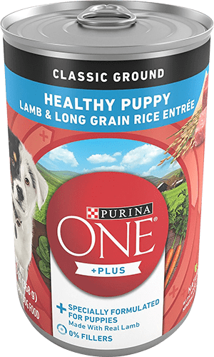 Purina-ONE-+Plus-Classic-Ground