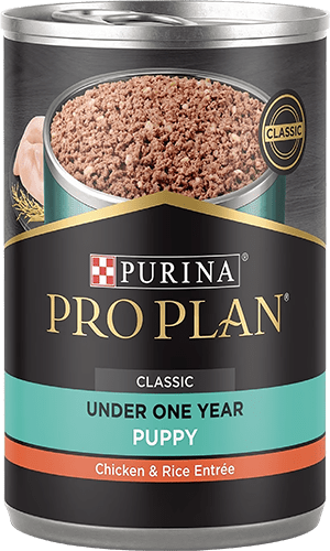 Purina-Pro-Plan-Development-Puppy-Chicken-&-Rice-Entree-Canned-Dog-Food