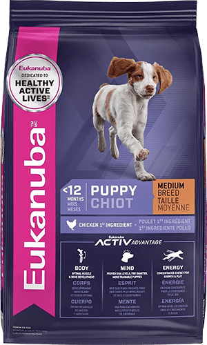 Eukanuba Puppy Medium Breed Dry Dog Food