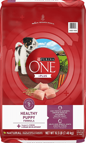 Purina ONE +Plus Natural High Protein Healthy Puppy Formula Dry Puppy Food